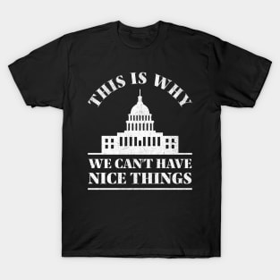 This is Why We Can’t Have Nice Things T-Shirt